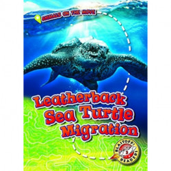 Leatherback Sea Turtle Migration