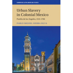 Urban Slavery in Colonial Mexico: Puebla de los Angeles, 1531–1706