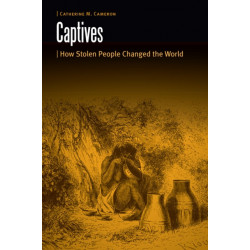 Captives: How Stolen People Changed the World