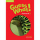 Guess What! Level 1 Flashcards (pack of 95) British English