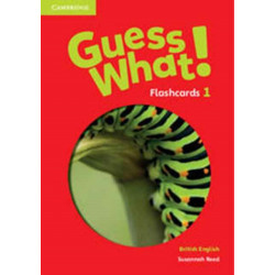 Guess What! Level 1 Flashcards (pack of 95) British English
