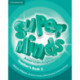 Super Minds American English Level 3 Teacher's Book