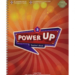 Power Up Level 3 Teacher's Book