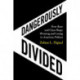 Dangerously Divided: How Race and Class Shape Winning and Losing in American Politics