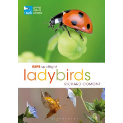 RSPB Spotlight Ladybirds