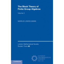 The Block Theory of Finite Group Algebras