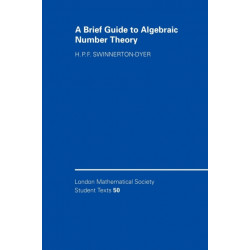 A Brief Guide to Algebraic Number Theory
