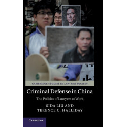 Criminal Defense in China: The Politics of Lawyers at Work