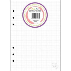 25 Sheets Dodo A5 Squared/Clear 100GSM Clairfontaine-Style Ruled Paper PPRA5: 210 x 148mm, 8.27 x 5.83" Fits Filofax, Gillio, Kikki K, Paperchase (A5), Van der Spek (Standard) & A5 6-Holed Organisers