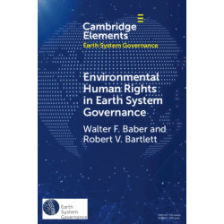 Environmental Human Rights in Earth System Governance: Democracy beyond Democracy