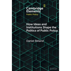 How Ideas and Institutions Shape the Politics of Public Policy