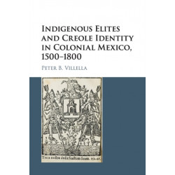 Indigenous Elites and Creole Identity in Colonial Mexico, 1500–1800