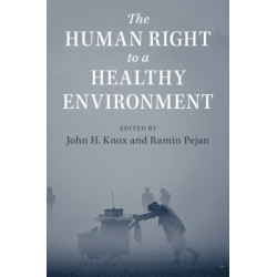 The Human Right to a Healthy Environment