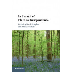 In Pursuit of Pluralist Jurisprudence