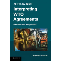 Interpreting WTO Agreements: Problems and Perspectives