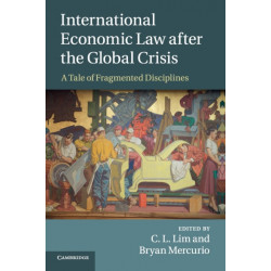 International Economic Law after the Global Crisis: A Tale of Fragmented Disciplines