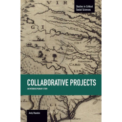 Collaborative Projects: An Interdisciplinary Study: Studies in Critical Social Sciences, Volume 66