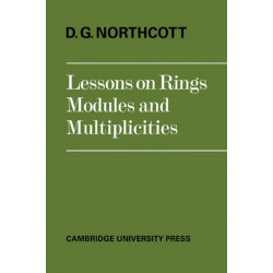 Lessons on Rings, Modules and Multiplicities