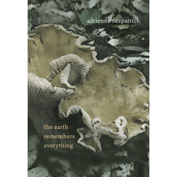 The Earth Remembers Everything