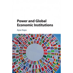 Power and Global Economic Institutions