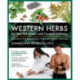 Western Herbs for Martial Artists and Contact Athletes: Effective Treatments for Common Sports Injuries