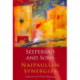 Seepersad and Sons: Naipaulian Synergies