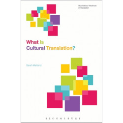 What Is Cultural Translation?