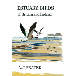 Estuary Birds of Britain and Ireland