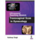 Ultrasound Teaching Module: Transvaginal Scan in Gynecology