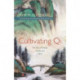 Cultivating Qi: The Root of Energy, Vitality, and Spirit