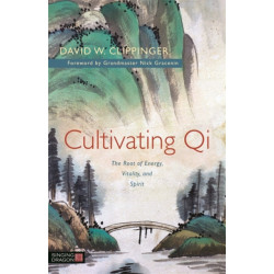 Cultivating Qi: The Root of Energy, Vitality, and Spirit
