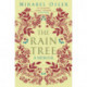 The Rain Tree