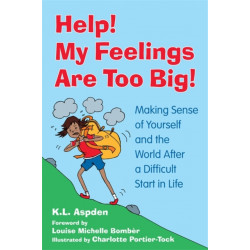 Help! My Feelings Are Too Big!: Making Sense of Yourself and the World After a Difficult Start in Life - for Children with Attachment Issues