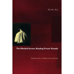 The Mottled Screen: Reading Proust Visually