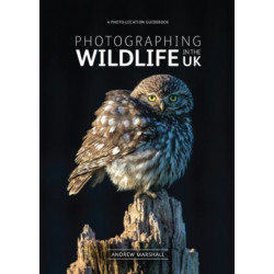 Photographing Wildlife in the UK: Where and How to Take Great Wildlife Photographs