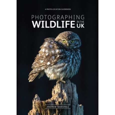 Photographing Wildlife in the UK: Where and How to Take Great Wildlife Photographs