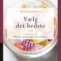 Vælg det bedste: En samtalebog om Bibelens og hverdagens fortællinger