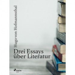 Drei Essays über Literatur