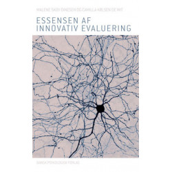 Essensen af innovativ evaluering