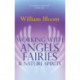 Working With Angels, Fairies And Nature Spirits