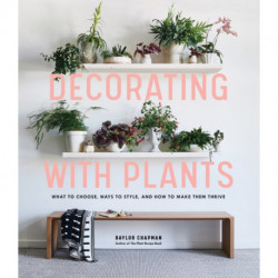 Decorating with Plants: What to Choose, Ways to Style, and How to Make Them Thrive