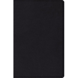 ESV Verse-by-Verse Reference Bible