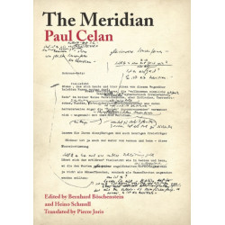 The Meridian: Final Version—Drafts—Materials