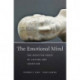 The Emotional Mind: The Affective Roots of Culture and Cognition