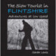 The Slow Tourist in Flintshir: Adventures at low speed