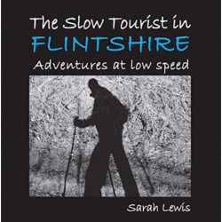 The Slow Tourist in Flintshir: Adventures at low speed