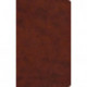 ESV Large Print Value Thinline Bible