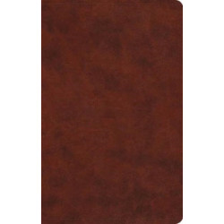 ESV Large Print Value Thinline Bible