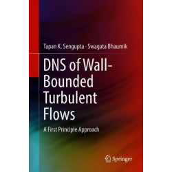 DNS of Wall-Bounded Turbulent Flows: A First Principle Approach