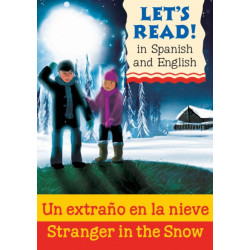 Stranger in the Snow/Un extrano en la nieve